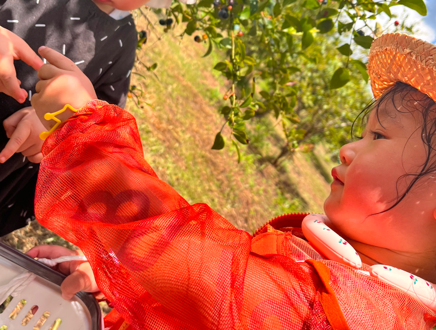 ショコラが提供している不動産の写真